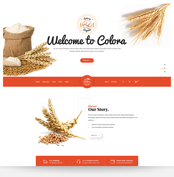 Beauty Shopify Theme